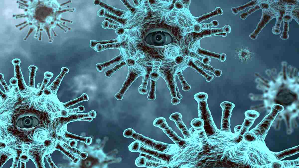 Estado del sistema inmune tras el coronavirus_