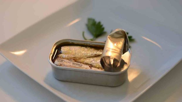Las sardinas en lata