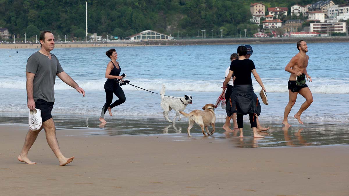 Varias persona caminan y corren con perros en la playa.