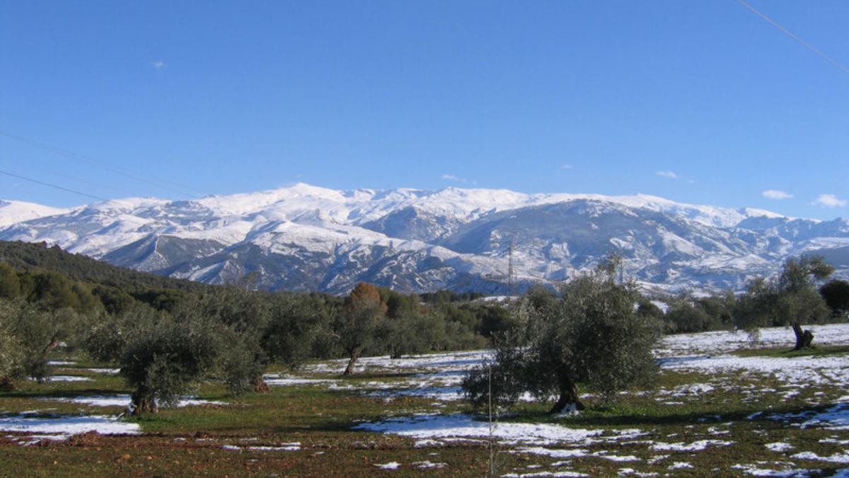 Sierra Nevada confía en la temporada estival para aumentar sus visitas
