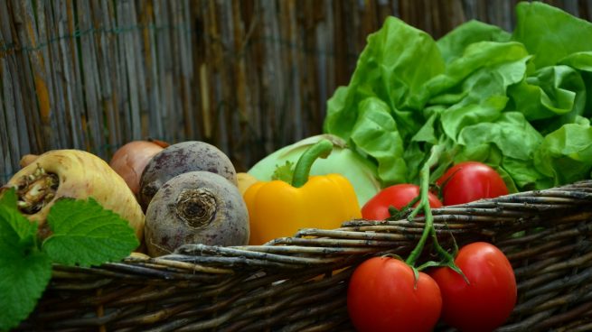 comer alimentos crudos