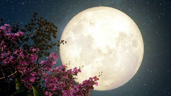 Esta noche podremos ver la Ãºltima superluna de las flores del aÃ±o