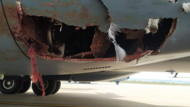 Un avión militar aterriza de emergencia en Zaragoza con un agujero tras chocar con un buitre