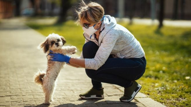 Esta es la App andaluza que facilita a voluntarios pasear las mascotas de personas mayores