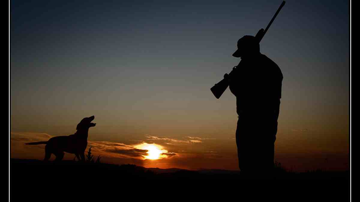 silueta de perro de caza de aves