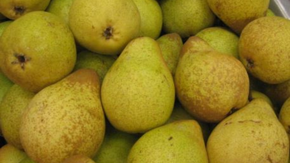 6 frutas que sirven para perder peso