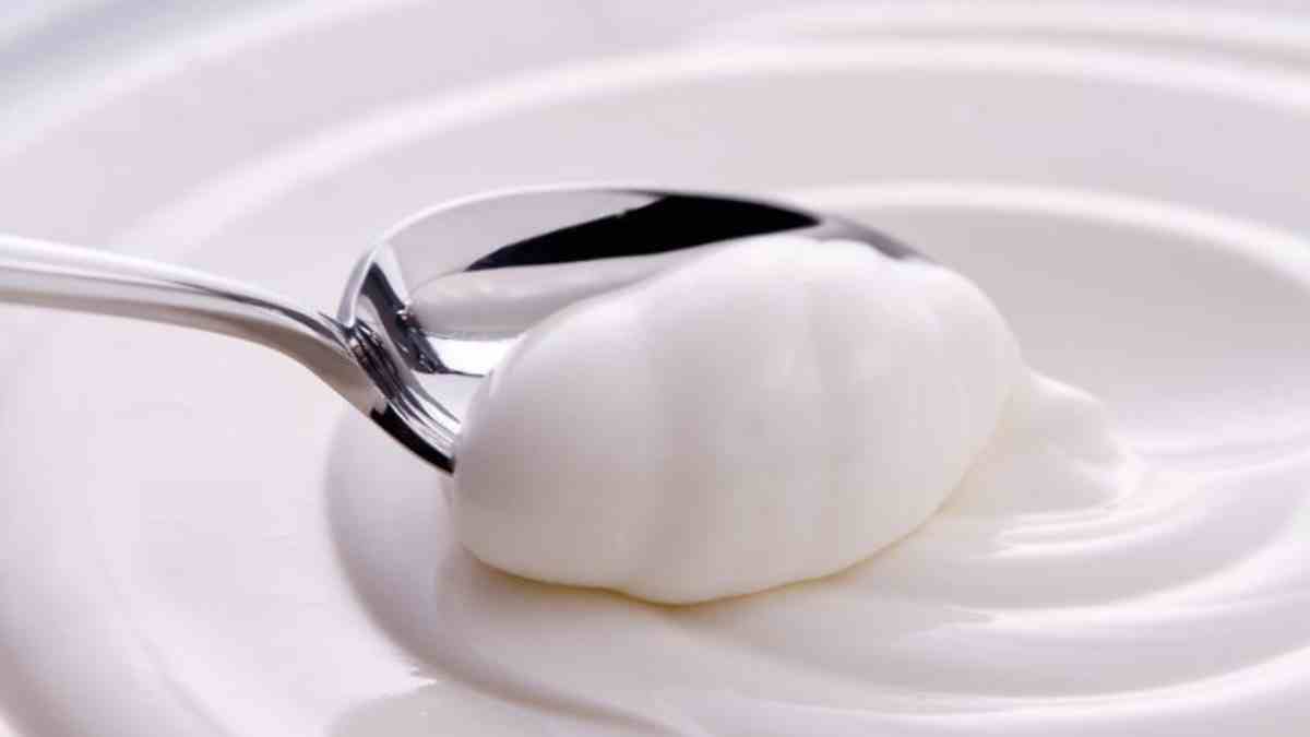 Receta casera de yogur griego