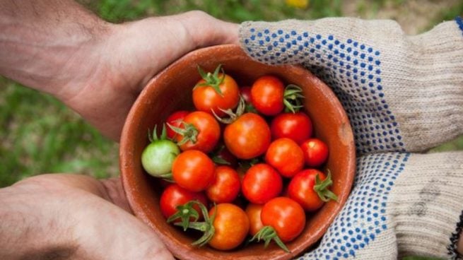 las buenas prácticas de higiene en la cocina