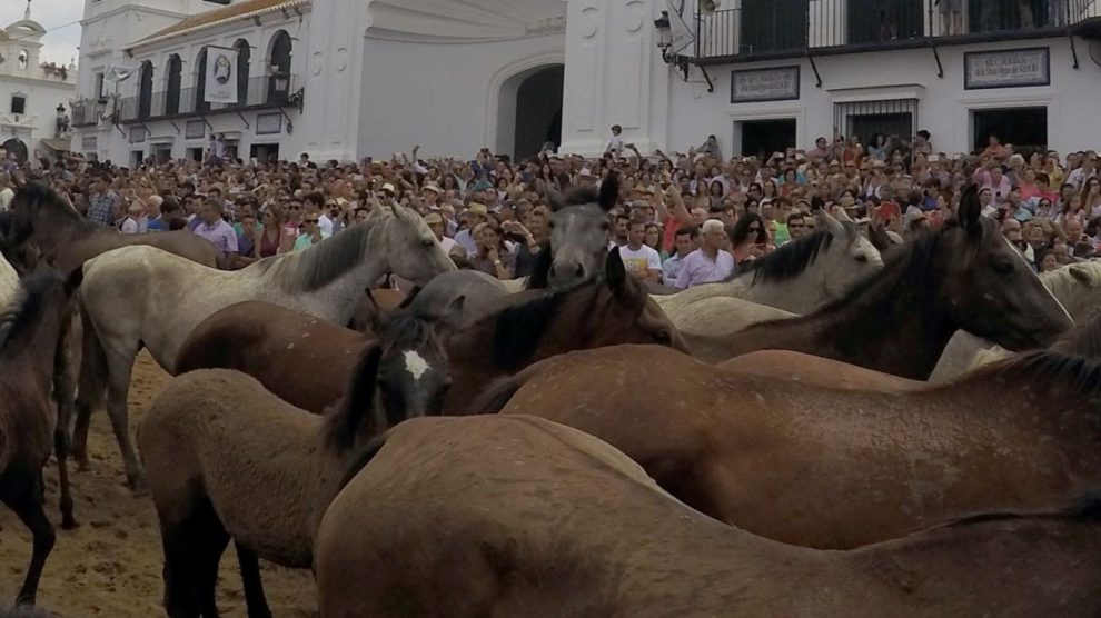 Saca de Yeguas de Almonte