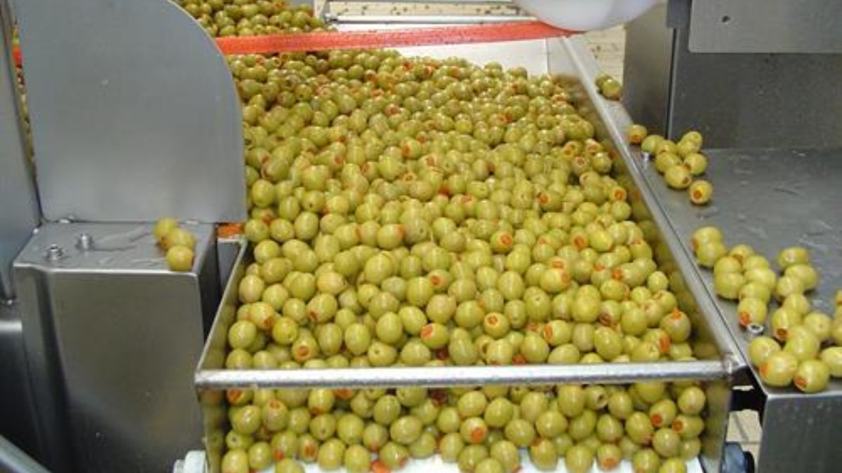 La entrada de aceituna de mesa procedente de terceros países se dispara más de un 185% en marzo