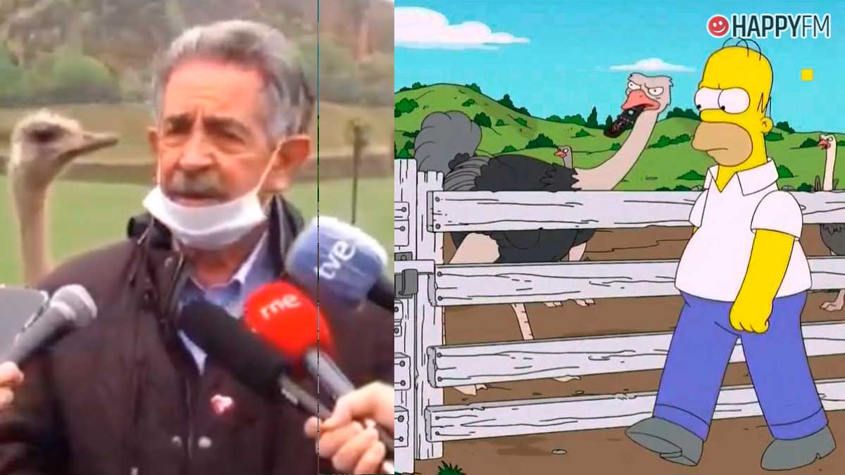 Miguel Ángel Revilla se convierte en viral gracias a una avestruz