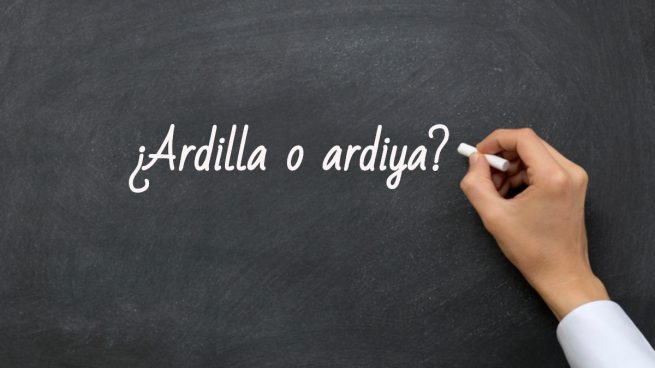 Cómo se escribe ardilla o ardiya
