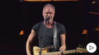 sting