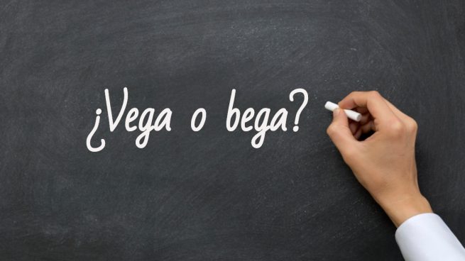 Cómo se escribe vega o bega