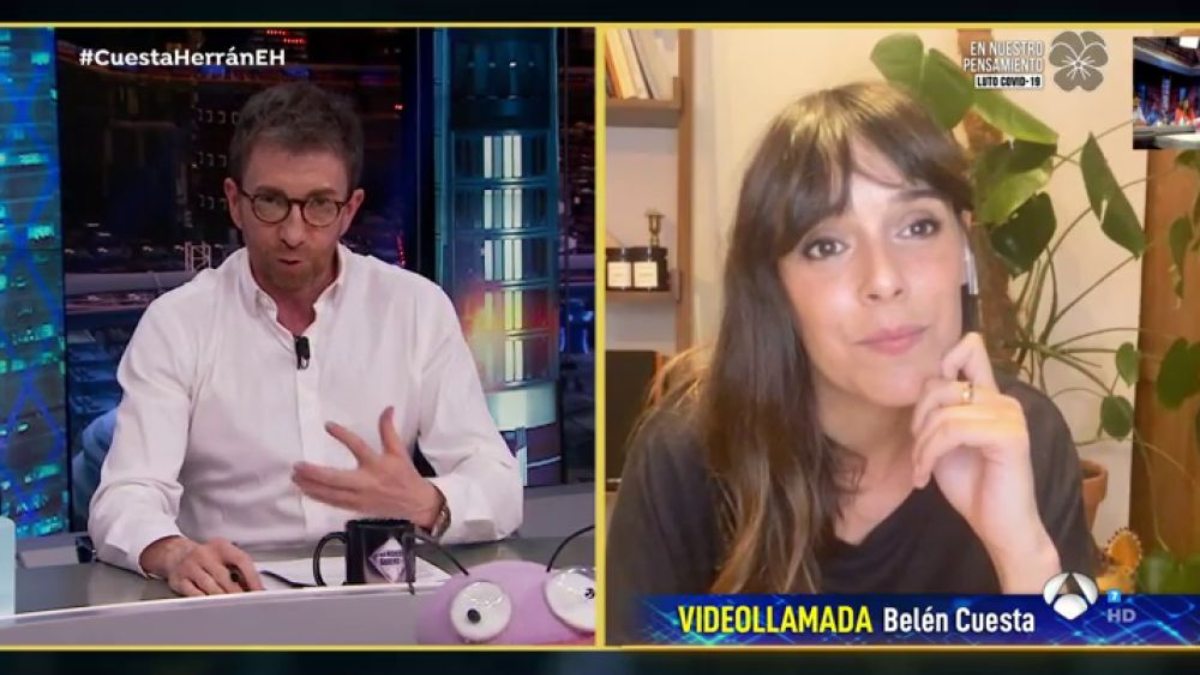A Traves De Mi Ventana El Hormiguero