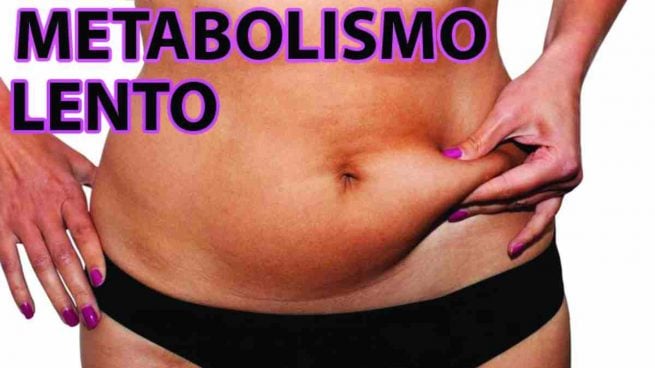 Metabolismo