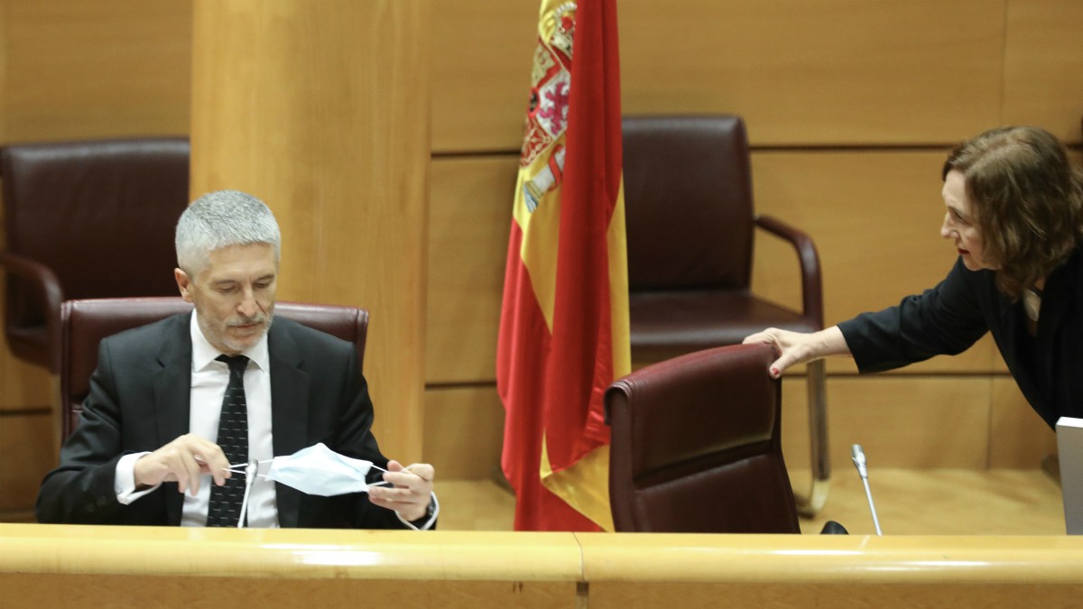 El ministro de Interior, Fernando Grande-Marlaska, en su comparecencia en el Senado – Marta Fernández Jara – (Europa Press)