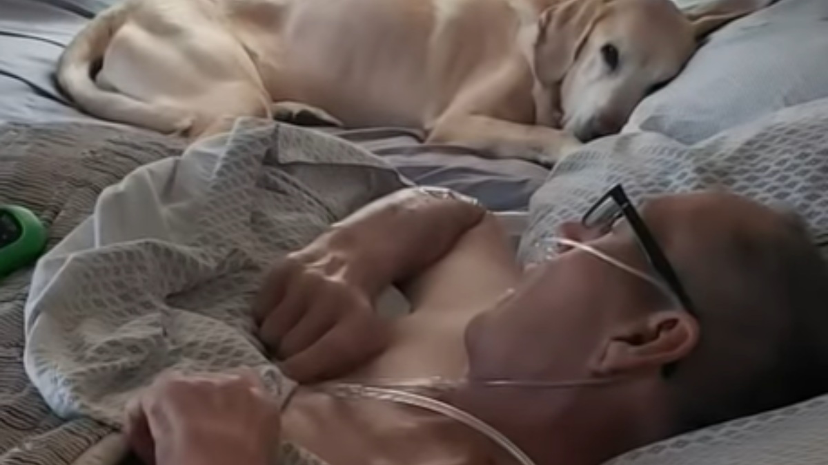 YouTube: Un perro acompaña a su dueño hasta el final, ambos mueren a la vez