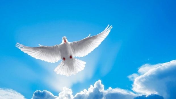 Qué se celebra el Día de Pentecostés
