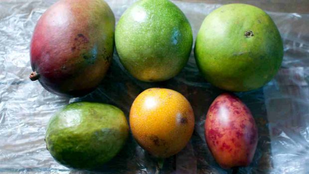 Granizado casero de mango y maracuyá