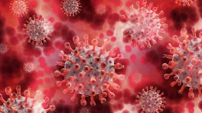 Grafeno detecta el coronavirus
