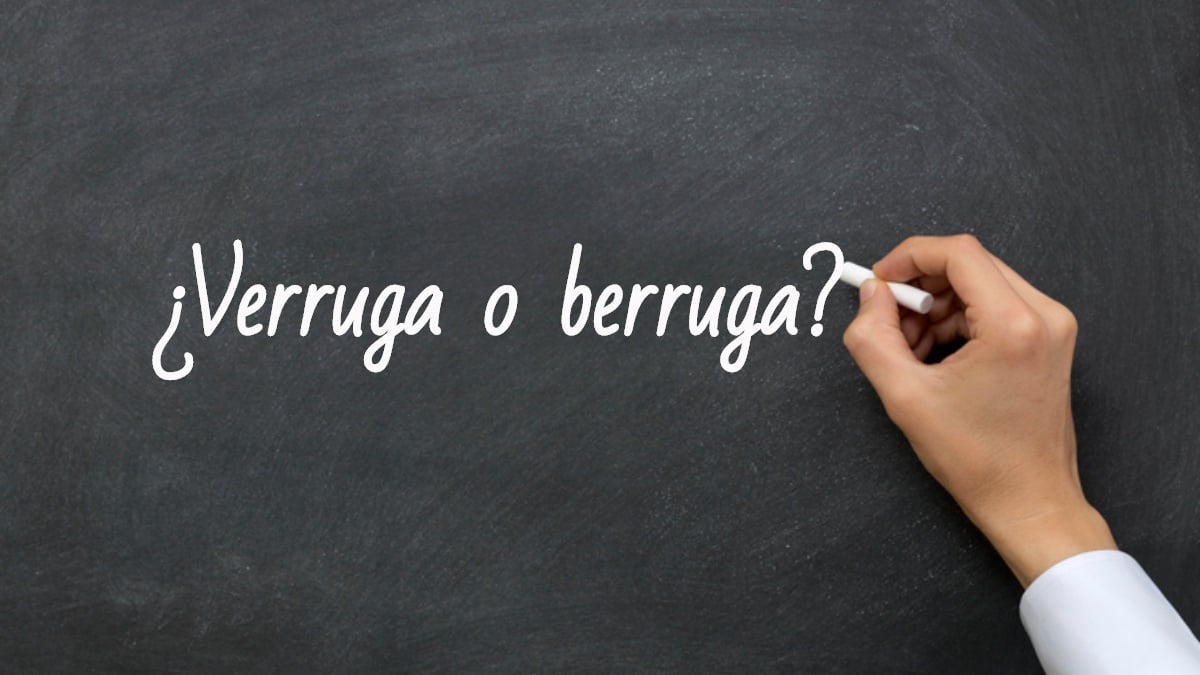 Se escribe verruga o berruga
