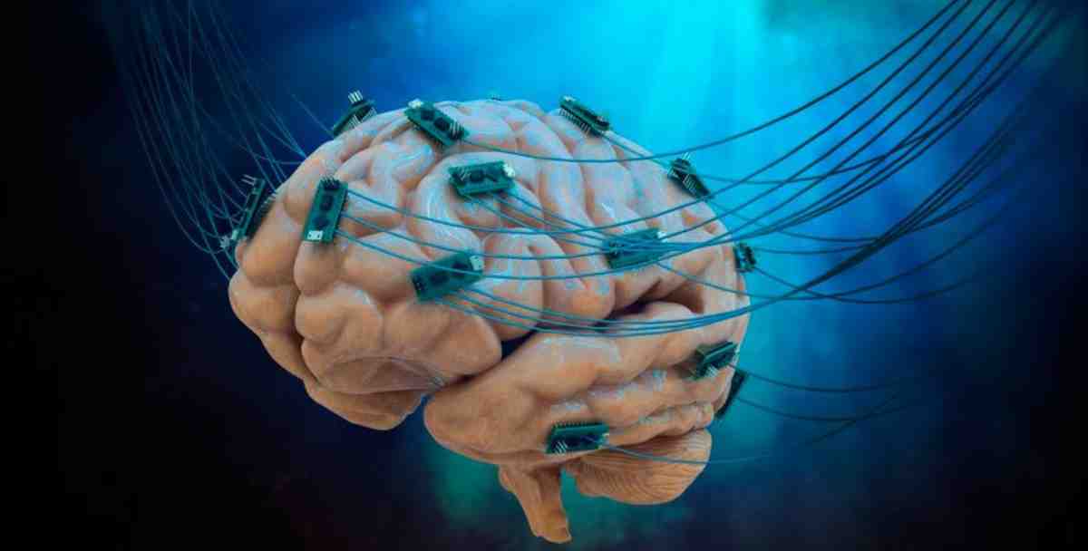 Riesgos de tener bacterias en el cerebro