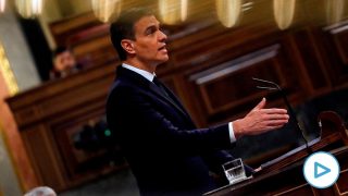 Pedro Sánchez