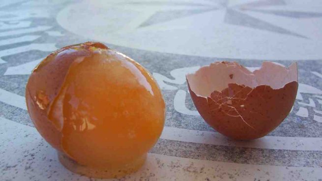 Fortalecer Accidental reinado Es posible congelar los huevos?