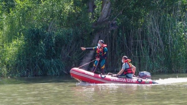 Prosigue la búsqueda del cocodrilo en Valladolid: los rastreadores apuntan a que podría ser una nutria