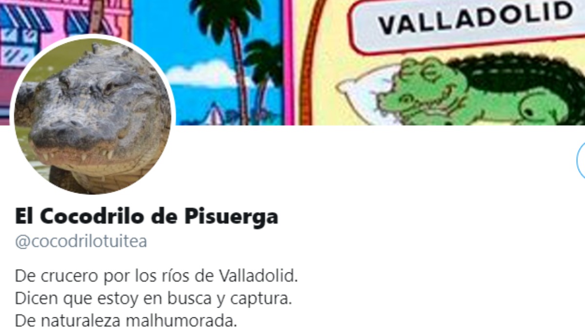 Twitter: El cocodrilo de Pisuerga ya tiene cuenta propia