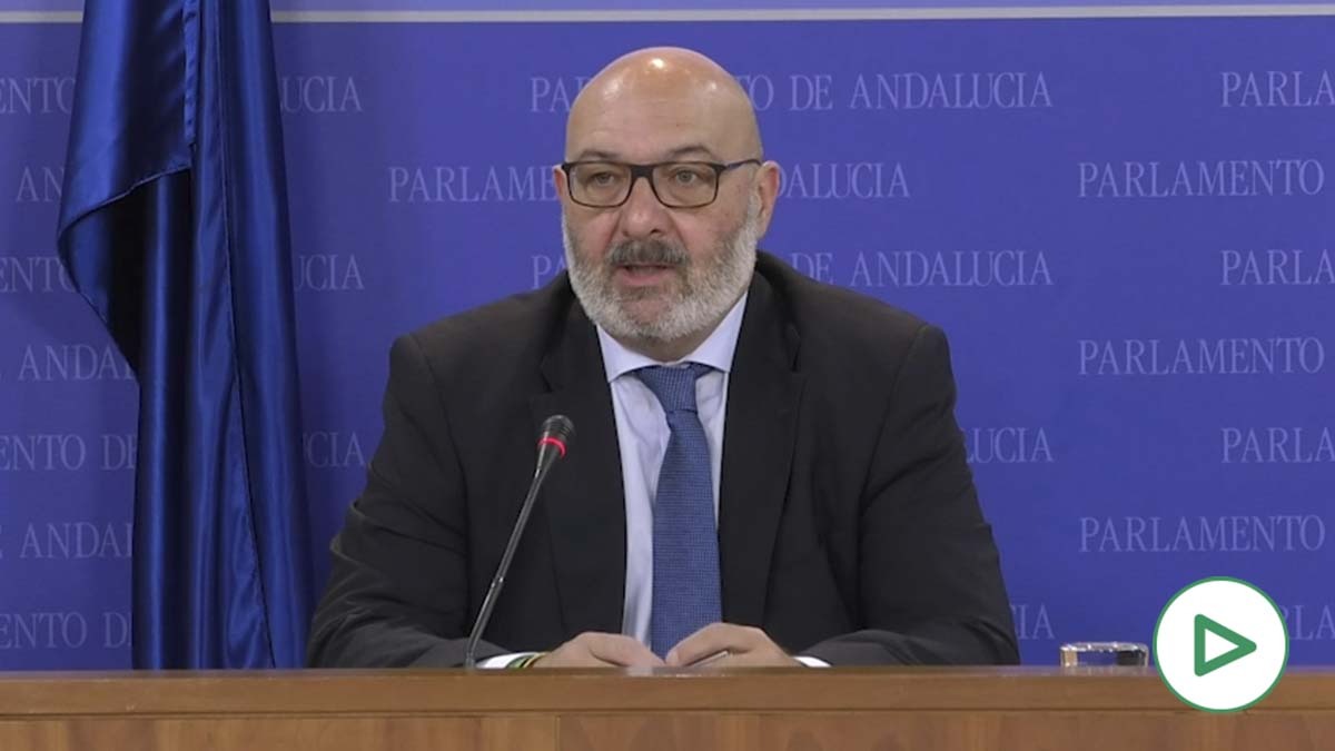 Alejandro Hernández, portavoz de VOX en Andalucía.