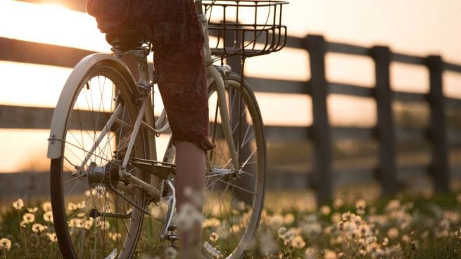 bicicletas de paseo