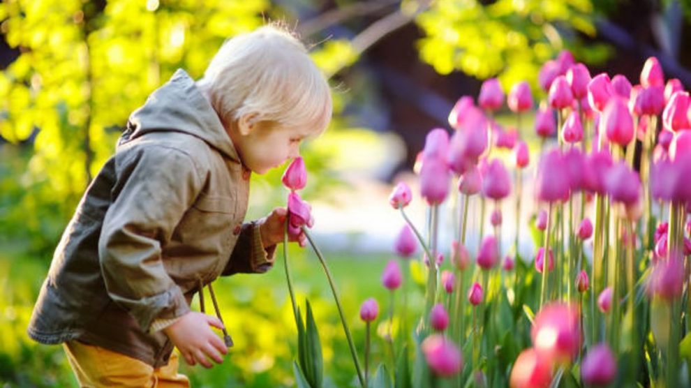 Juegos Montessori para estimular el sentido del olfato en ...