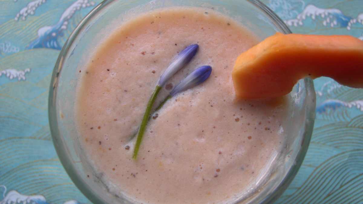 2 interesantes recetas de smoothie con papaya