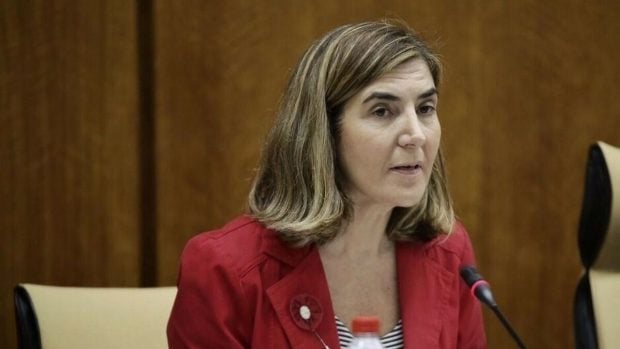 Los planes de la Junta de Andalucía para mitigar la crisis económica por el coronavirus