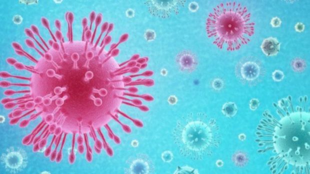 Coronvirus en los adultos mayores