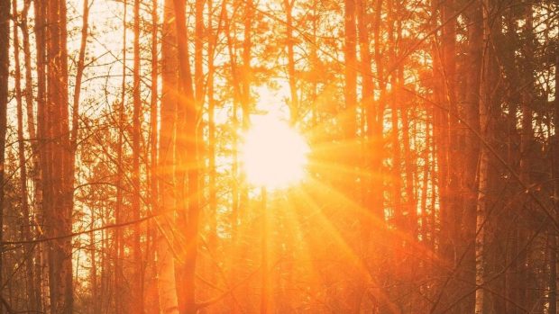 Solsticio
