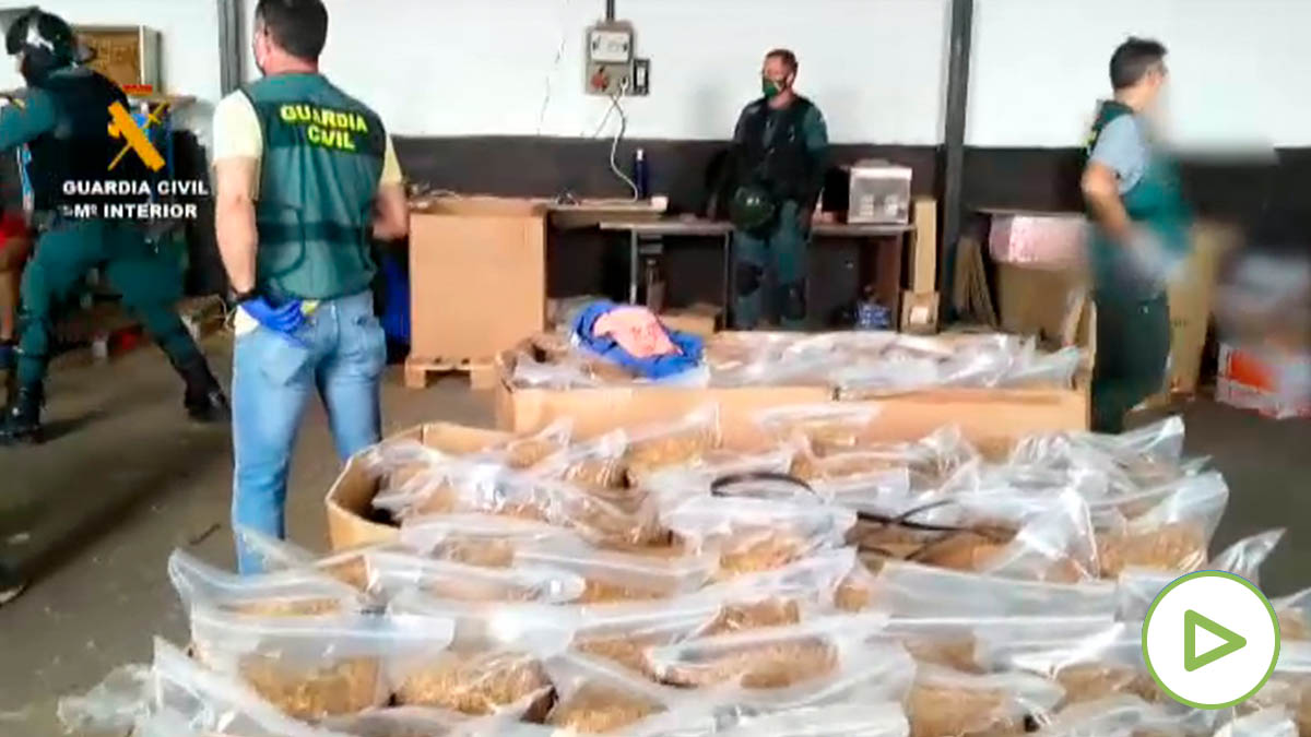 Guardia Civil aprehende 34.800 kilos de picadura de tabaco de contrabando