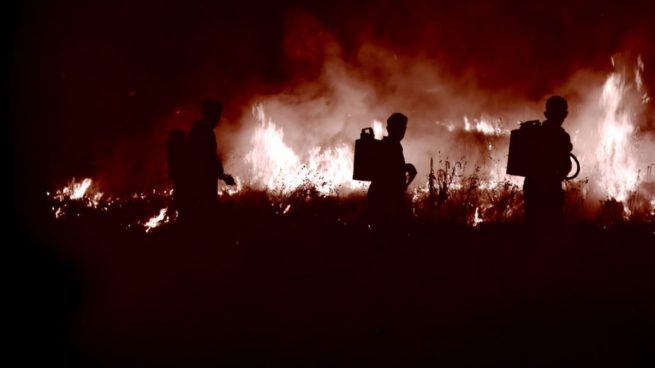 Entra en fase de estabilización el incendio forestal de Mojácar que amenazaba el Cabo de Gata