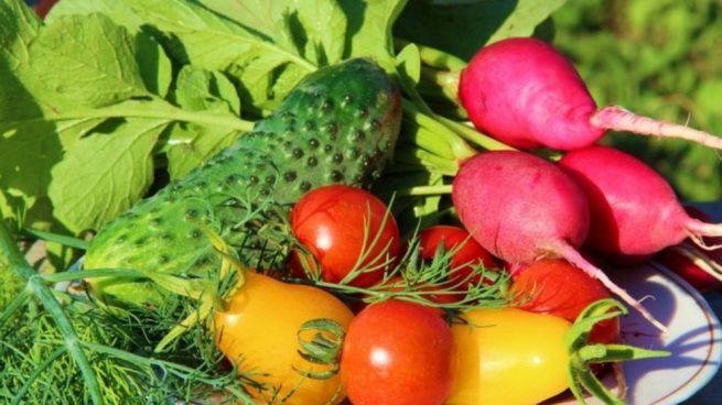 A comer verduras y hortalizas frescas