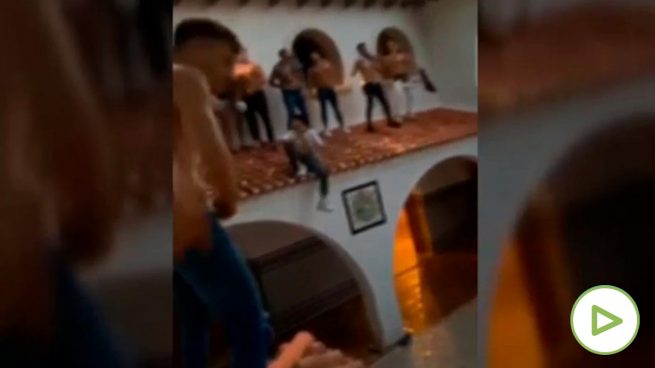 Ver vídeo