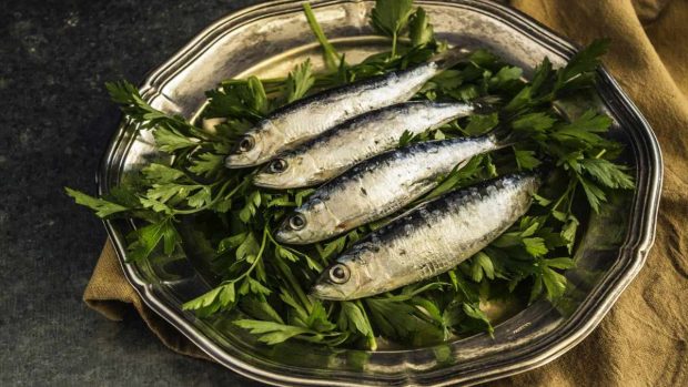 Recetas con sardinas