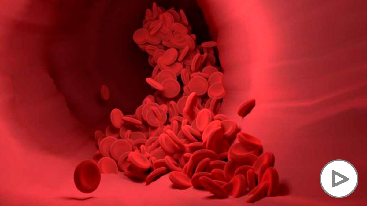 Circulación sanguínea: 4 remedios caseros para mejorar la circulación de la  sangre