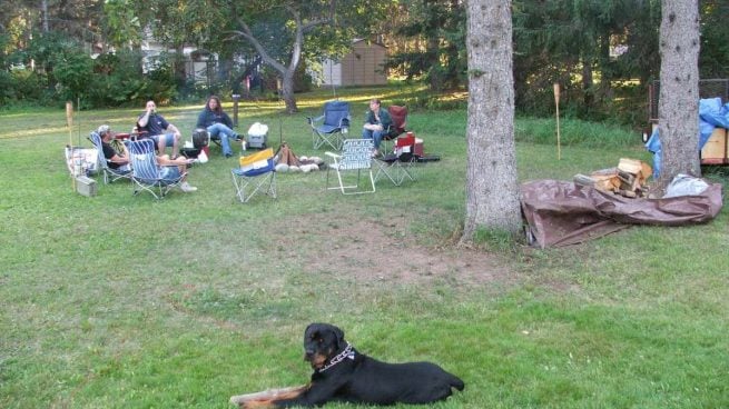 Perro en camping