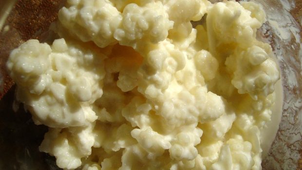 Alimentos fermentados: kéfir de leche y zanahoria