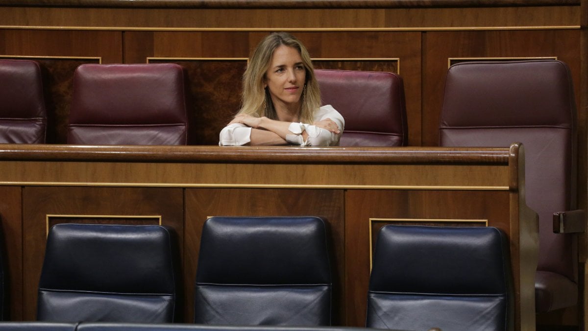 Cayetana Álvarez de Toledo, en el Congreso.