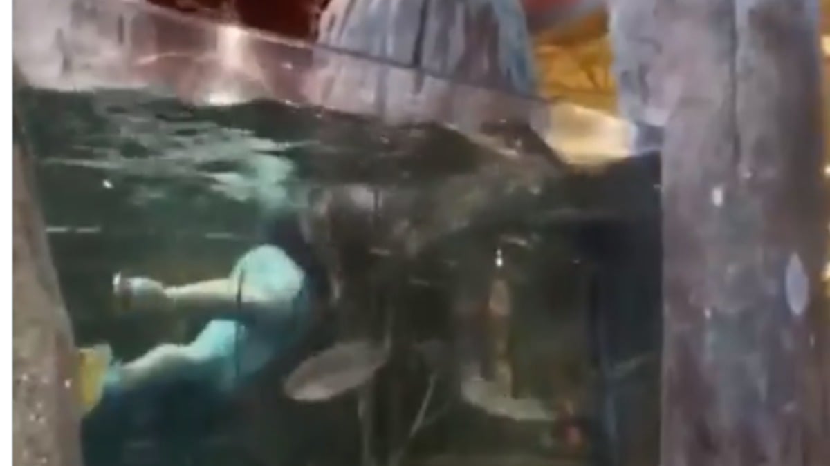 Twitter: Se busca a un hombre que nadó con los peces de un acuario gigante en un centro comercial