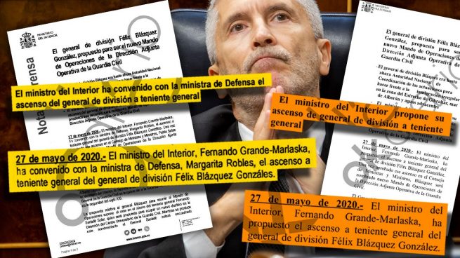 Fernando Grande-Marlaska