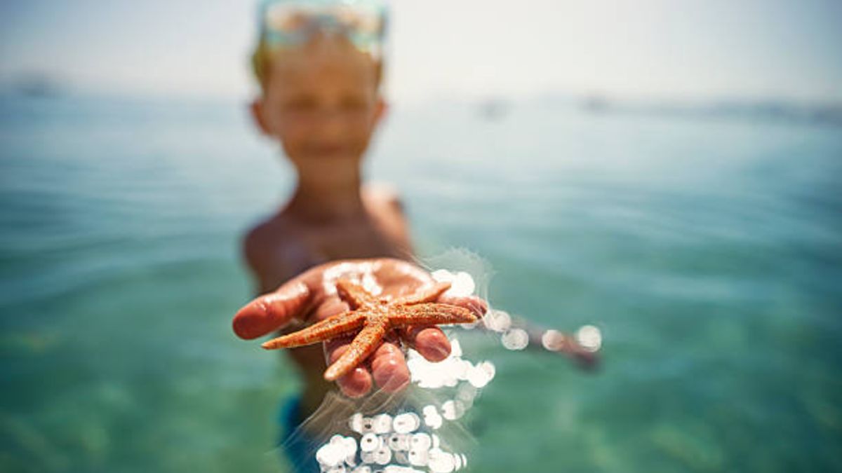 Los motivos para que los niños vayan a la playa